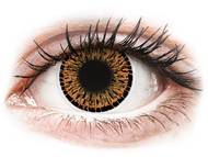 ColourVUE Elegance Brown - nedioptrijske (2 kom leća) Smeđe kontaktne leće - nedioptrijske - ColourVUE Elegance Brown - nedioptrijske (2 kom leća)