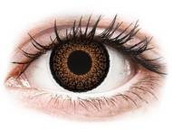 ColourVUE Eyelush Brown - nedioptrijske (2 kom leća) Smeđe kontaktne leće - nedioptrijske - ColourVUE Eyelush Brown - nedioptrijske (2 kom leća)