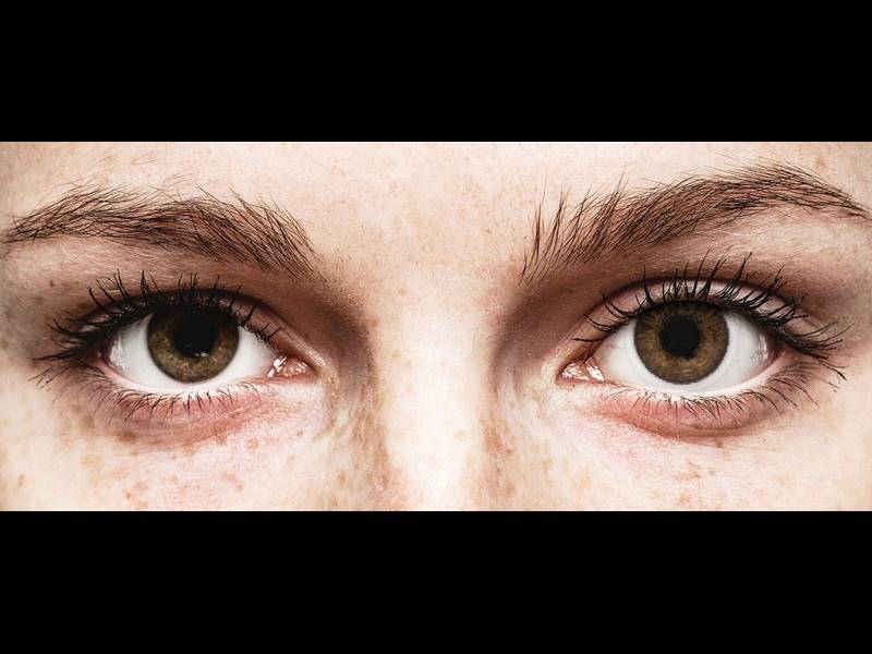FreshLook ColorBlends Brown - dioptrijske (2 kom leća)